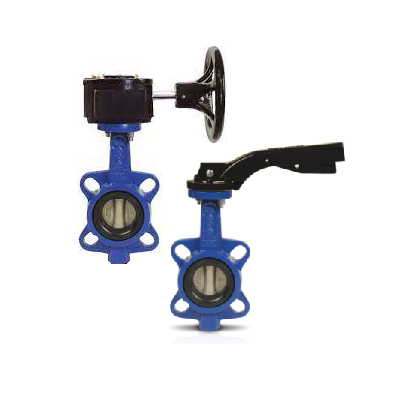 شیرهای پروانه ای